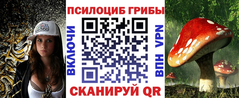omg зеркало  что такое   Всеволожск  Псилоцибиновые грибы прущие грибы 