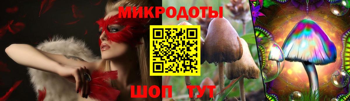 Всеволожск  Галлюциногенные грибы Psilocybe  Вход с VPN 