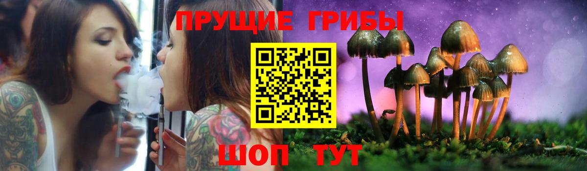 Псилоцибиновые грибы Psilocybine cubensis Всеволожск